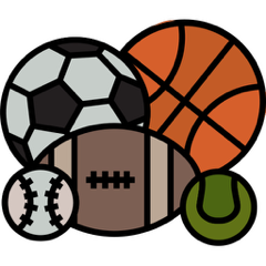 Schwerpunkt Sport