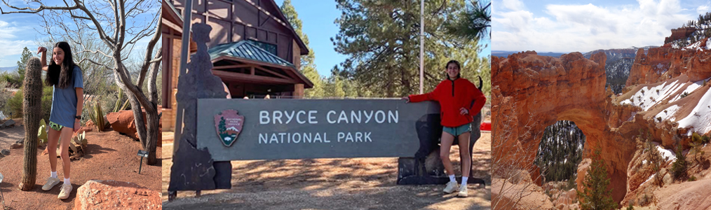 exp auslandsjahrusa edda4