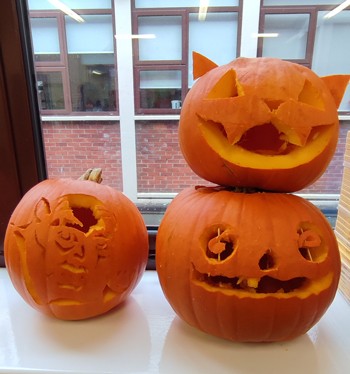 auslandsjahr irland erfahrung maria2