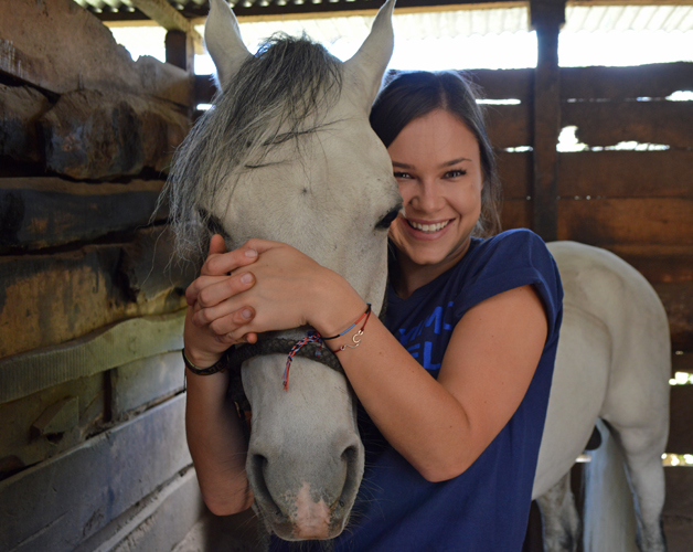 Volunteer Projekt Pferde